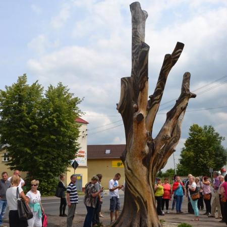 Wyświetl org. rozmiar
