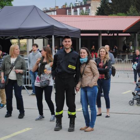 Wyświetl org. rozmiar