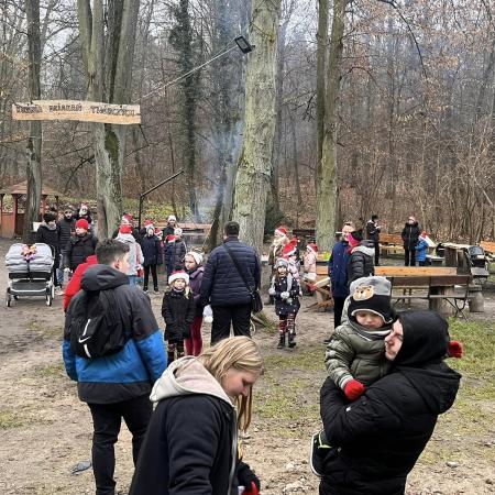 Wyświetl org. rozmiar