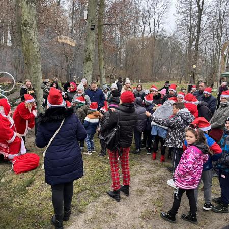 Wyświetl org. rozmiar