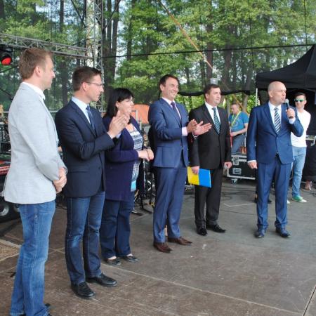 Wyświetl org. rozmiar