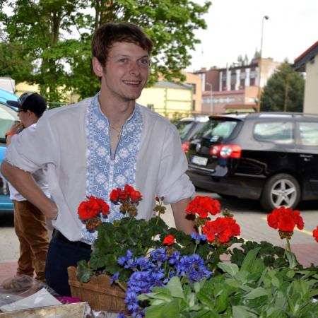Wyświetl org. rozmiar