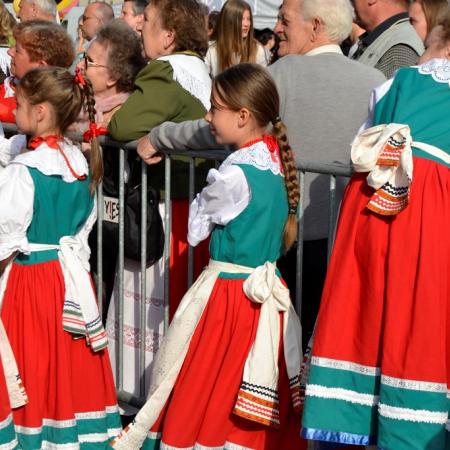 Wyświetl org. rozmiar