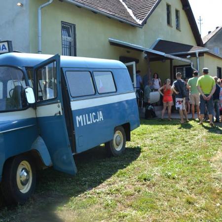 Wyświetl org. rozmiar