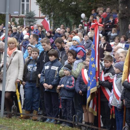 Wyświetl org. rozmiar