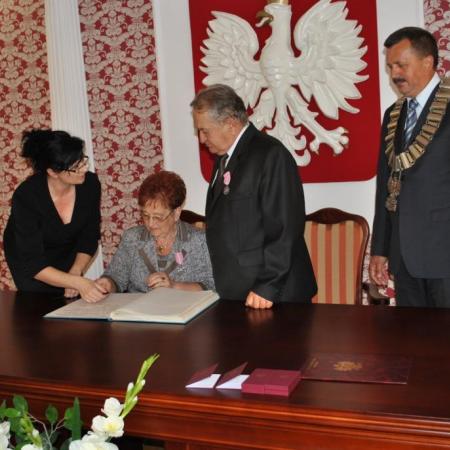 Wyświetl org. rozmiar