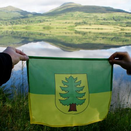 Wyświetl org. rozmiar