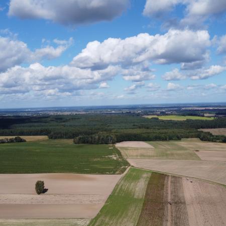 Wyświetl org. rozmiar