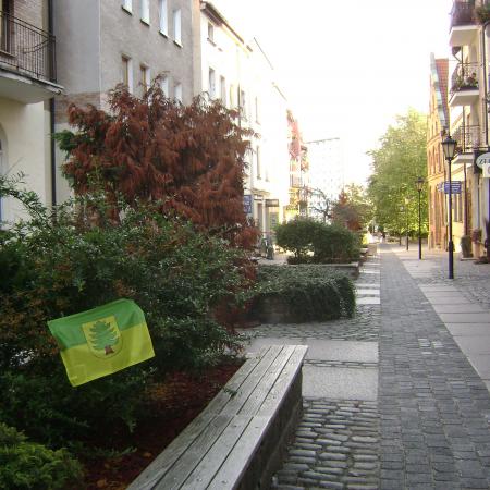Wyświetl org. rozmiar