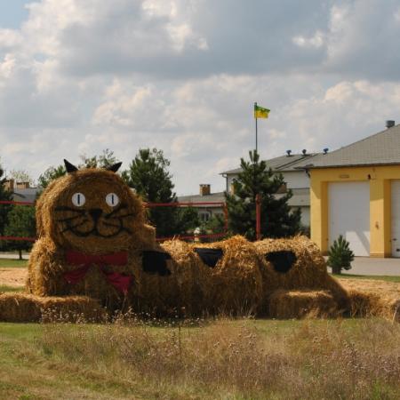 Wyświetl org. rozmiar