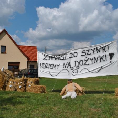 Wyświetl org. rozmiar
