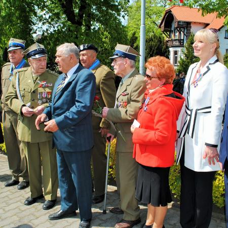 Wyświetl org. rozmiar