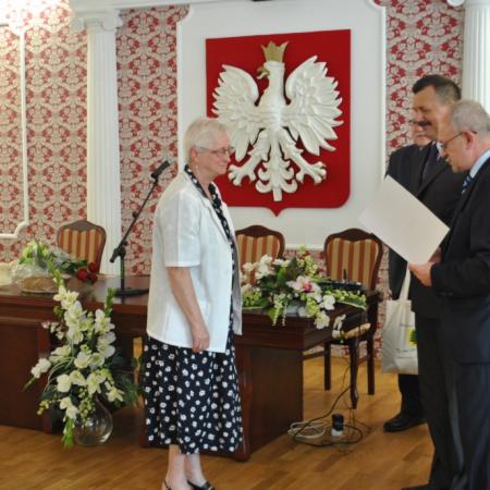 Wyświetl org. rozmiar