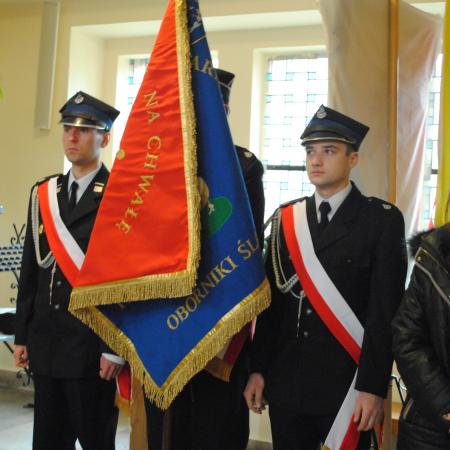 Wyświetl org. rozmiar