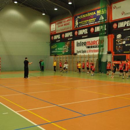 Wyświetl org. rozmiar