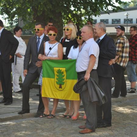 Wyświetl org. rozmiar