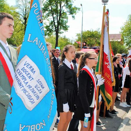 Wyświetl org. rozmiar