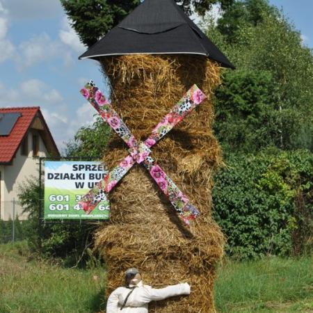 Wyświetl org. rozmiar
