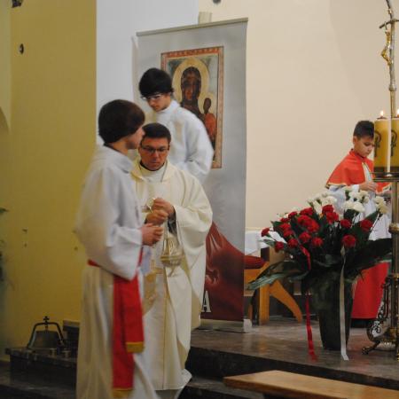 Wyświetl org. rozmiar