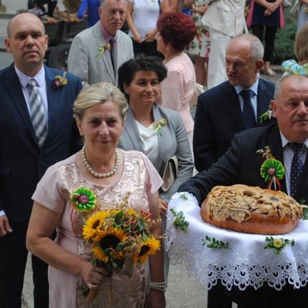 Wyświetl org. rozmiar