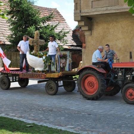 Wyświetl org. rozmiar