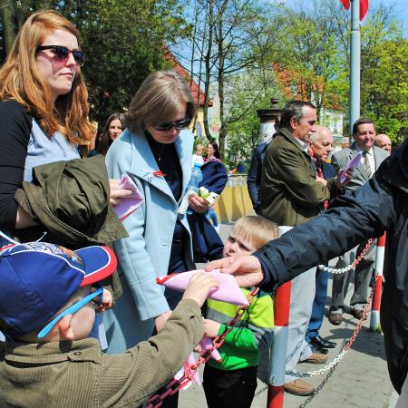 Wyświetl org. rozmiar