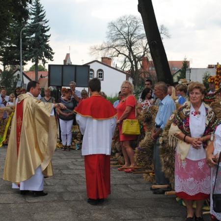 Wyświetl org. rozmiar