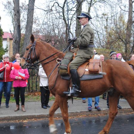 Wyświetl org. rozmiar