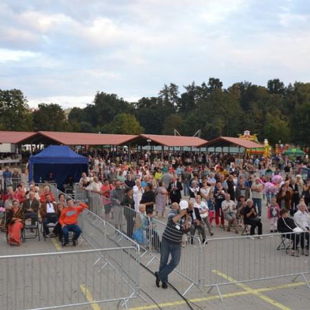 Wyświetl org. rozmiar