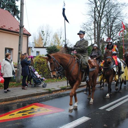 Wyświetl org. rozmiar