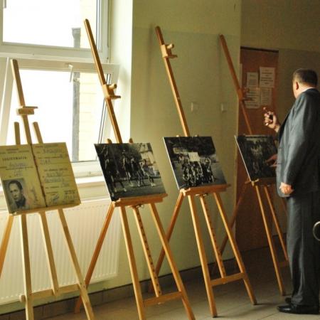 Wyświetl org. rozmiar