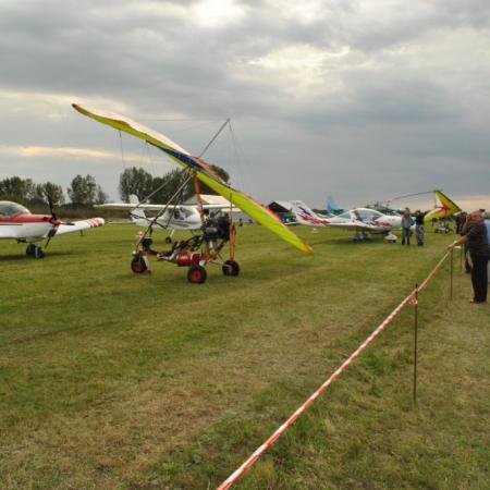 Wyświetl org. rozmiar
