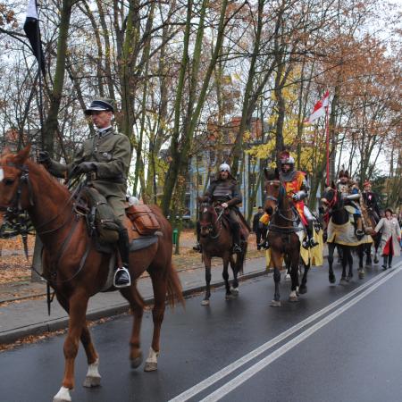 Wyświetl org. rozmiar