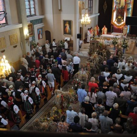 Wyświetl org. rozmiar
