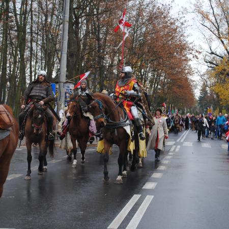 Wyświetl org. rozmiar