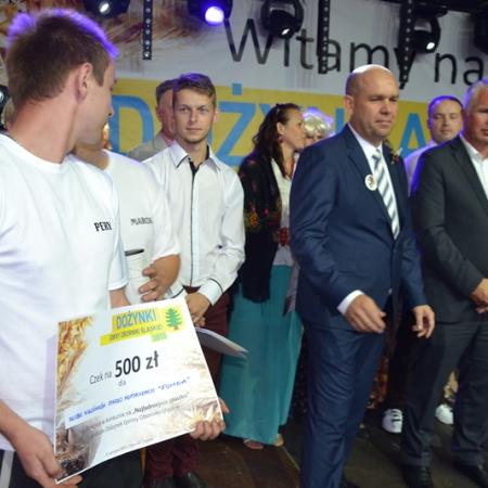 Wyświetl org. rozmiar
