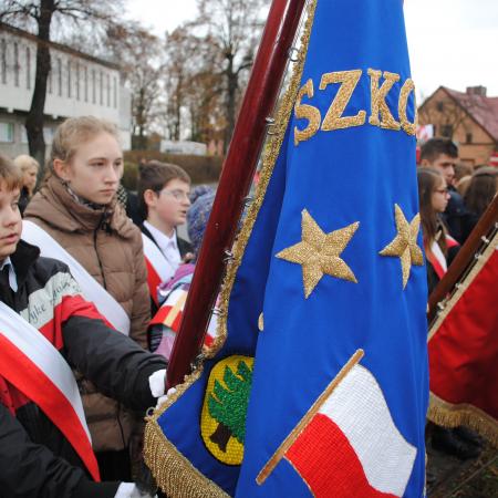 Wyświetl org. rozmiar