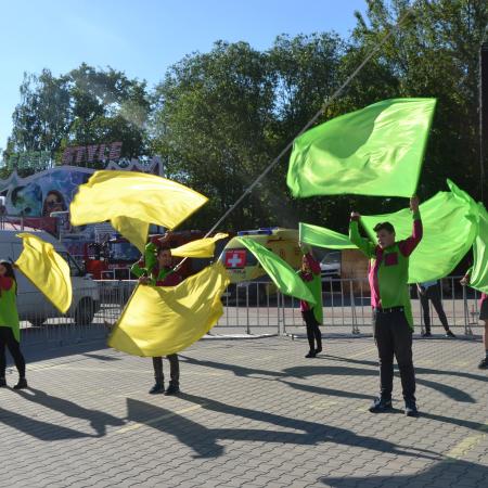 Wyświetl org. rozmiar