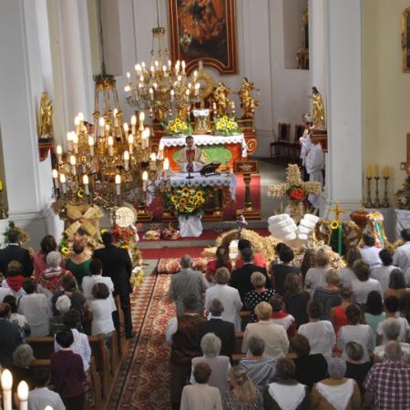 Wyświetl org. rozmiar