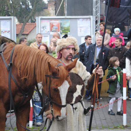 Wyświetl org. rozmiar