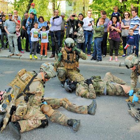 Wyświetl org. rozmiar