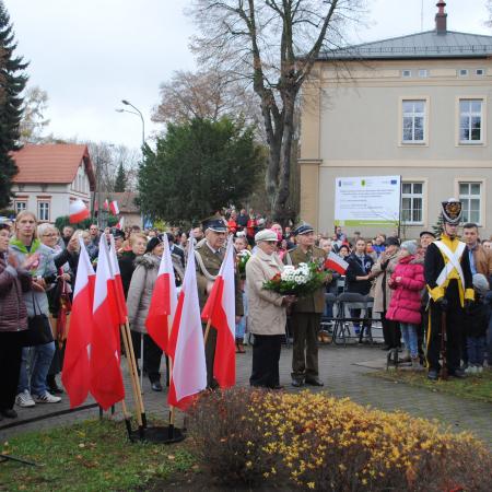 Wyświetl org. rozmiar