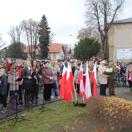 Wyświetl org. rozmiar