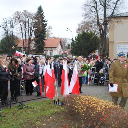 Wyświetl org. rozmiar