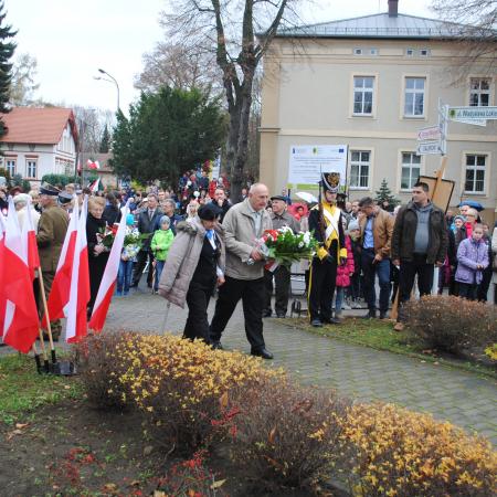 Wyświetl org. rozmiar