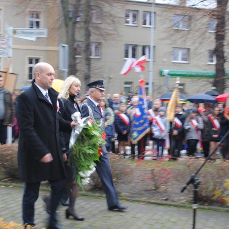 Wyświetl org. rozmiar