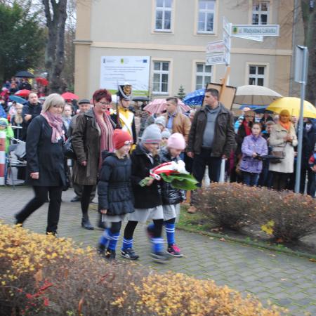 Wyświetl org. rozmiar