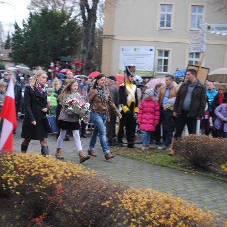 Wyświetl org. rozmiar
