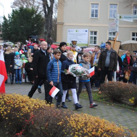 Wyświetl org. rozmiar