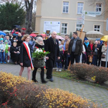 Wyświetl org. rozmiar